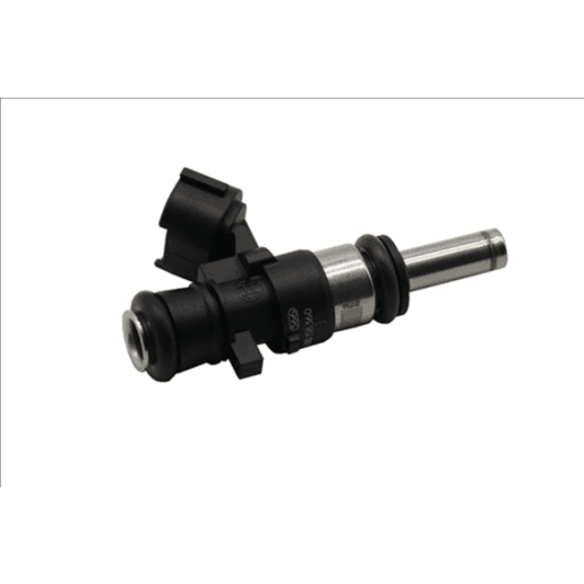 b11157 Borsehung Топливная форсунка