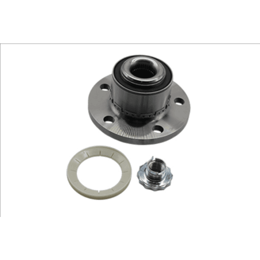 b19309 Borsehung Ступица колеса