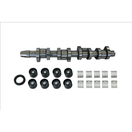 b11307 Borsehung Комплект распредвала