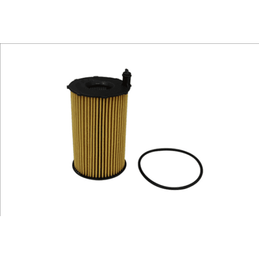 b10540 Borsehung Оливний фільтр