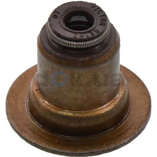 12-37621-01 Reinz Комплект сальників клапанів