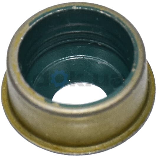 12-26545-01 Reinz Комплект сальників клапанів