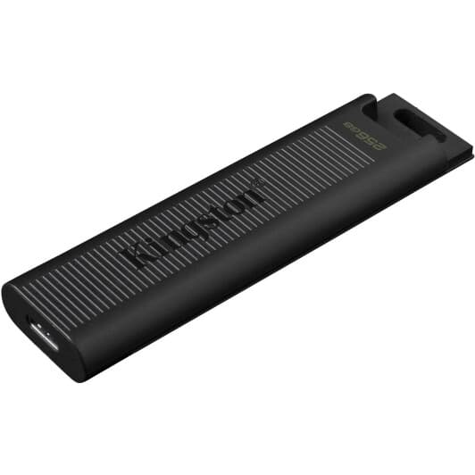 Флешка Kingston DataTraveler Max 256 ГБ