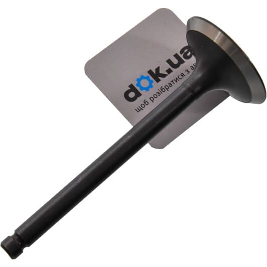 V003639 BGA Впускний клапан