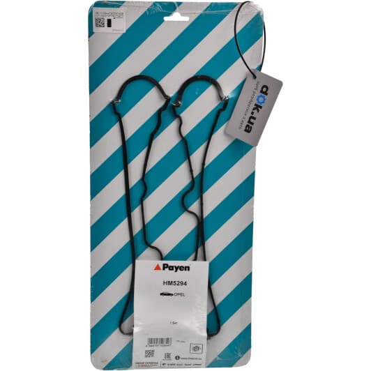 HM5294 Payen Комплект прокладок клапанной крышки