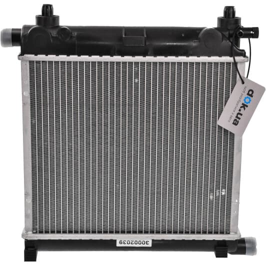 30002039 Van Wezel Радіатор охолодження двигуна