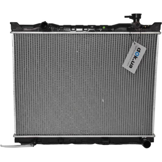 D70315TT Thermotec Радіатор охолодження двигуна для Kia Sorento