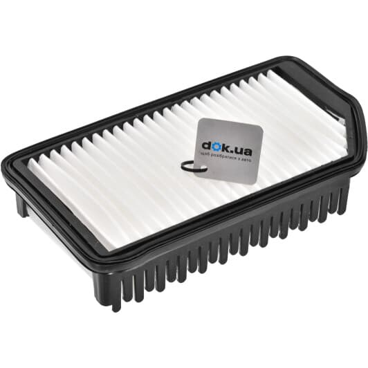 20-0H-H31 Ashika Воздушный фильтр