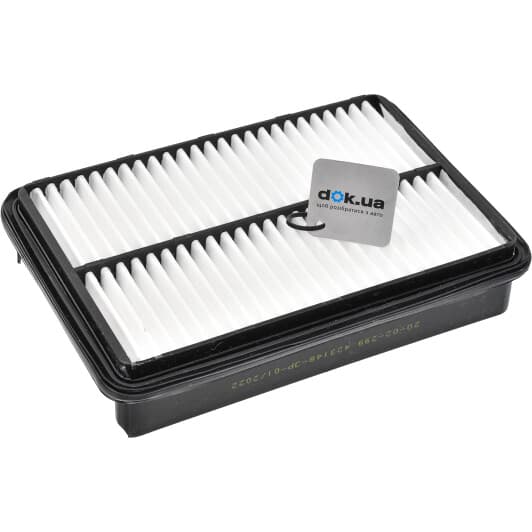 20-02-299 Ashika Повітряний фільтр