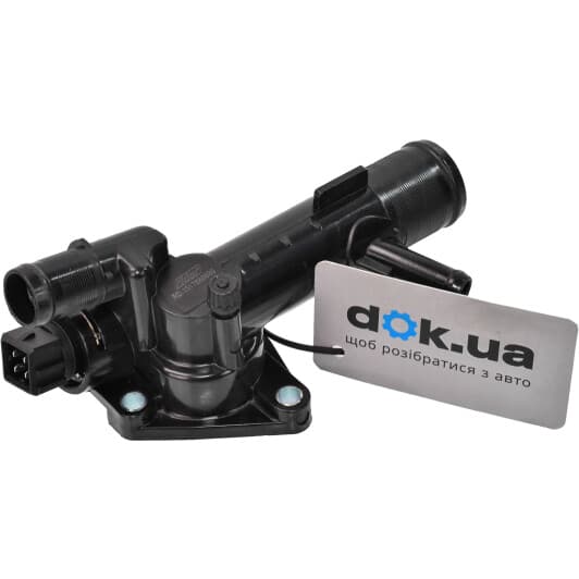 RD1517666689 Rider Термостат