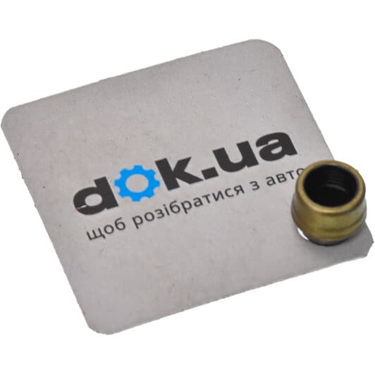 70-42741-00 Reinz Сальник клапана