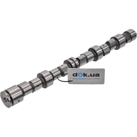 16DW004 Ashika Распредвал для Daewoo Lanos