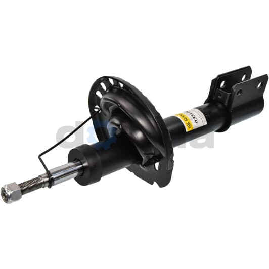 rs317417 RAISO Стійка амортизатора