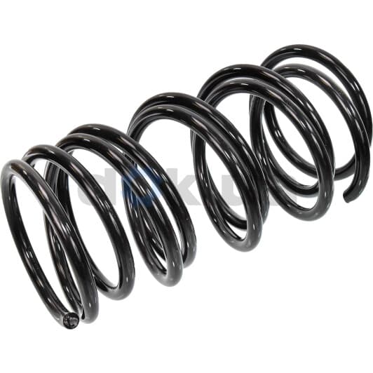 sf061tp RAISO Пружина подвески