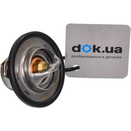 RD1517604789 Rider Термостат