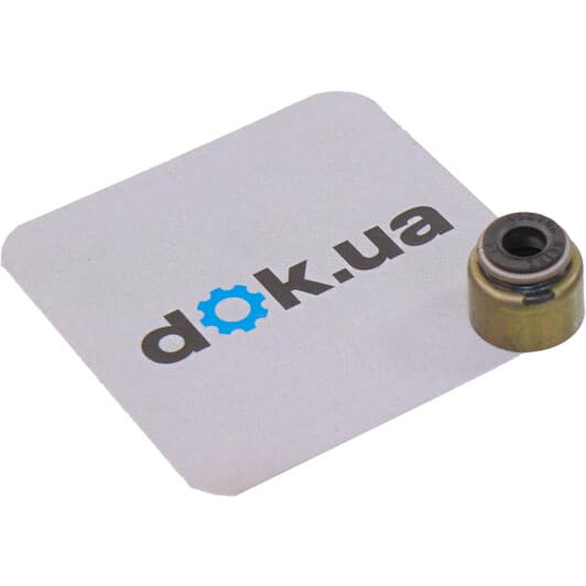 12-53093-01 Reinz Комплект сальников клапанов