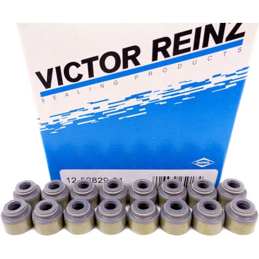 12-52829-01 Reinz Комплект сальников клапанов