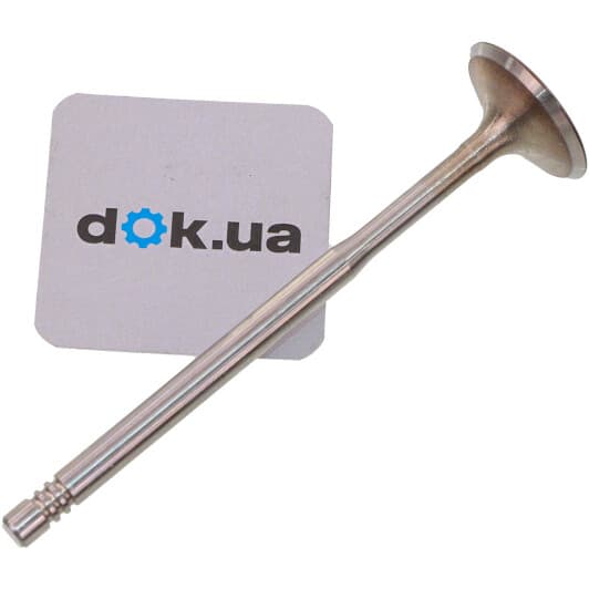 b19025 Borsehung Впускний клапан