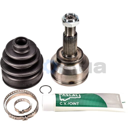 G1R028PC Pascal ШРУС для Renault Laguna