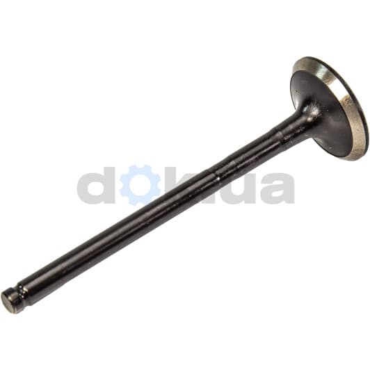 R6071/RNT Freccia Випускний клапан