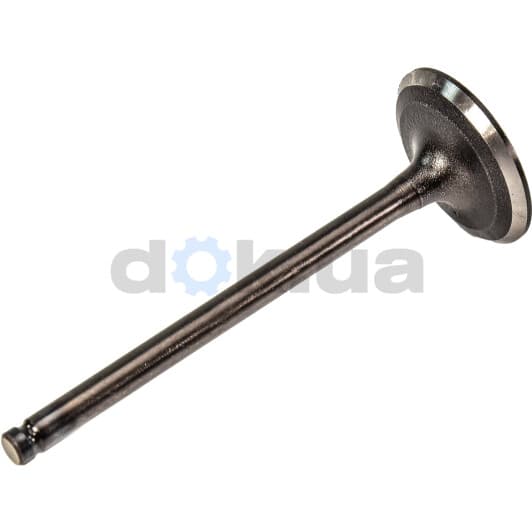 R6070/SNT Freccia Впускной клапан