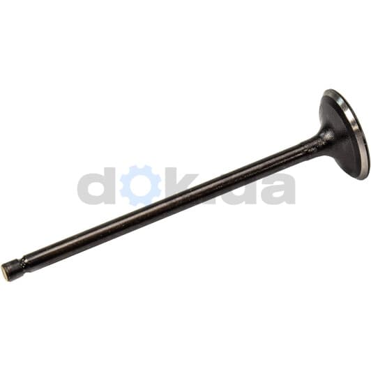 R6482/SNT Freccia Впускной клапан