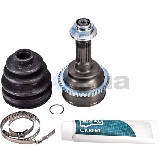 G13038PC Pascal ШРУС