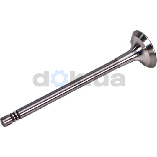 V95002 AE Випускний клапан