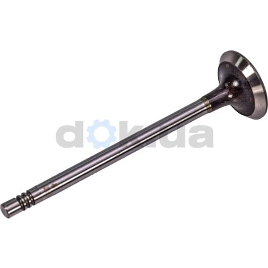 V95001 AE Впускний клапан