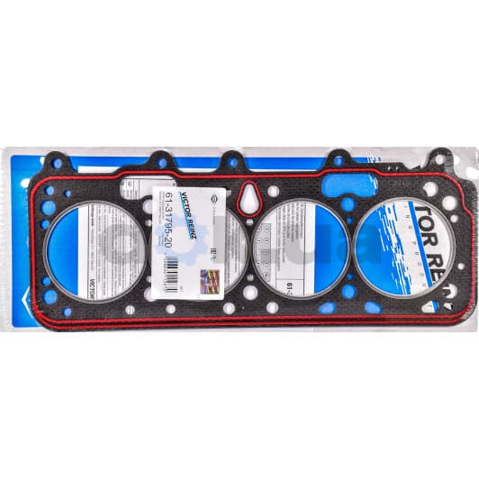 61-31795-20 Reinz Прокладка ГБЦ