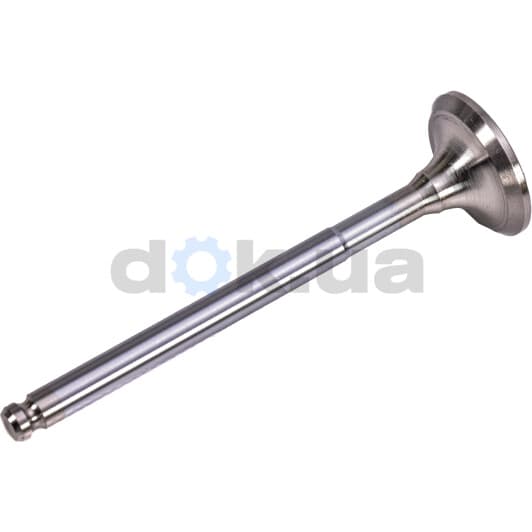 V171043 BGA Выпускной клапан