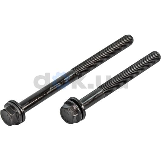 14-32096-01 Reinz Болт ГБЦ