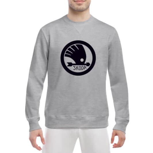 Свитшот мужской Globuspioner Skoda Arrow Logo спереди класический рукав серый