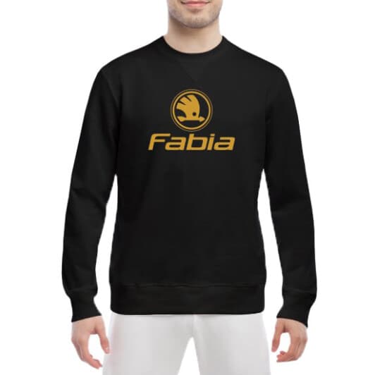 Свитшот мужской Globuspioner Skoda Fabia Logo спереди класический рукав чёрный