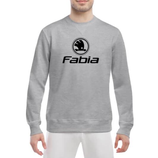 Свитшот мужской Globuspioner Skoda Fabia Logo спереди класический рукав серый