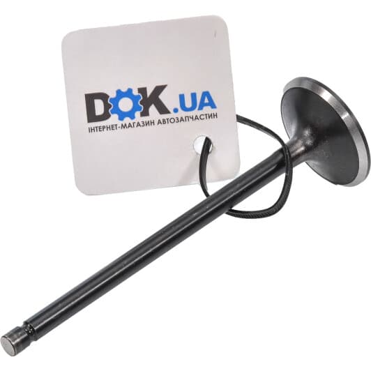 R6104/SNT Freccia Впускной клапан