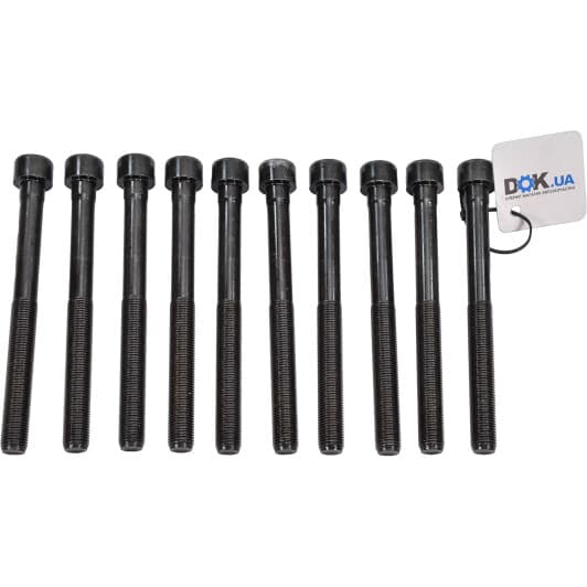 14-32094-01 Reinz Болт ГБЦ