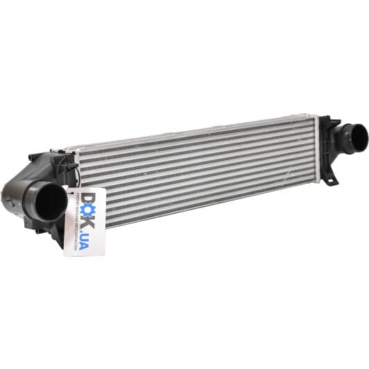 30304 NRF Інтеркулер