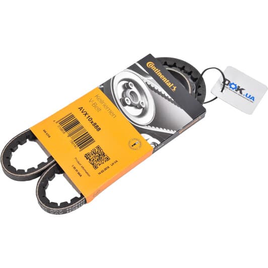 AVX10X888 Contitech Клиновий ремінь