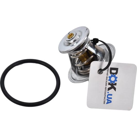 B13141 Borsehung Термостат