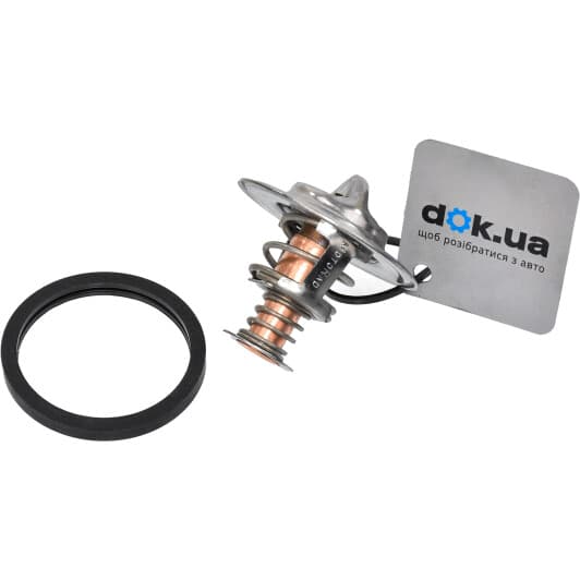 227-89 MotoRad Термостат