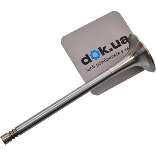 11091777101 Vika Выпускной клапан