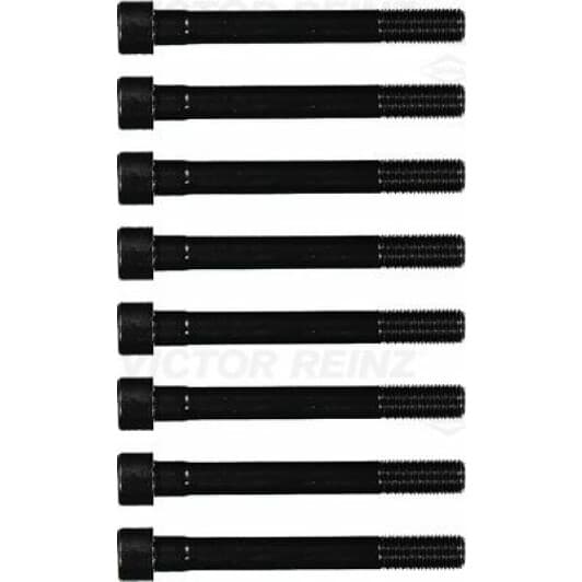 14-55063-01 Reinz Болт ГБЦ