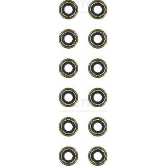 12-36206-01 Reinz Комплект сальников клапанов