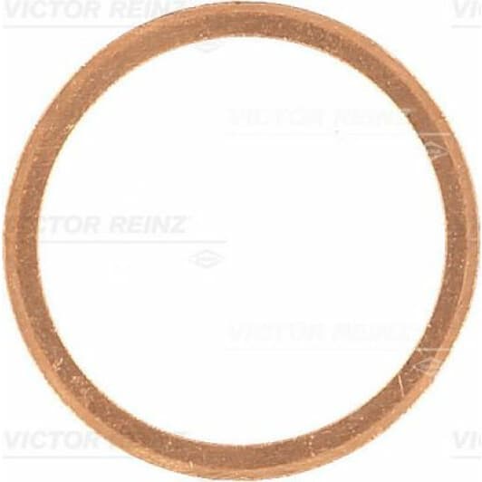 41-70259-00 Reinz Ущільнювальне кільце зливної пробки