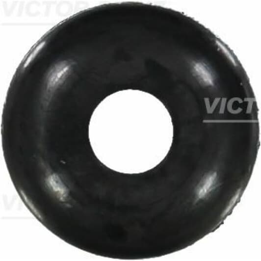 70-21569-00 Reinz Сальник клапана