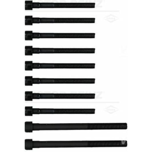 14-55097-01 Reinz Болт ГБЦ