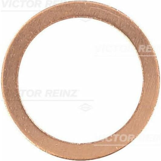 41-70204-00 Reinz Ущільнювальне кільце зливної пробки