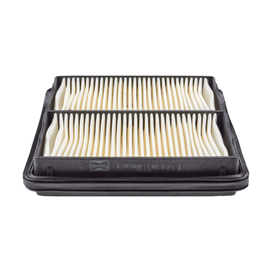 CAF100646P Champion Воздушный фильтр