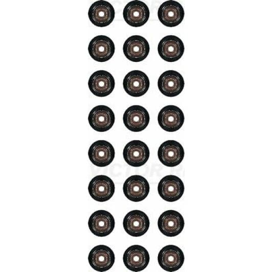 12-36866-02 Reinz Комплект сальников клапанов